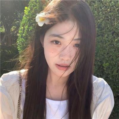 斑马头
